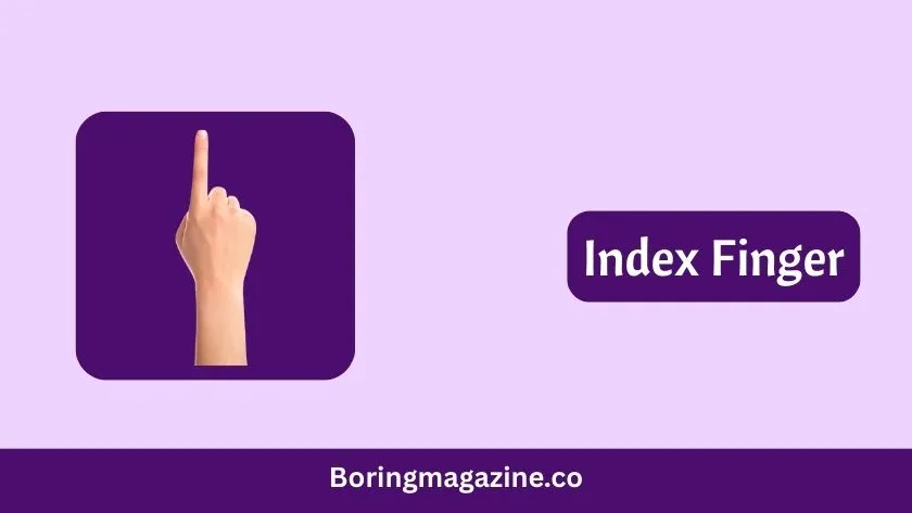 index finger