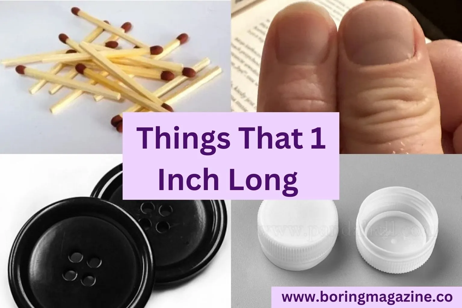 12 Everyday Things That are 1 Inch Long