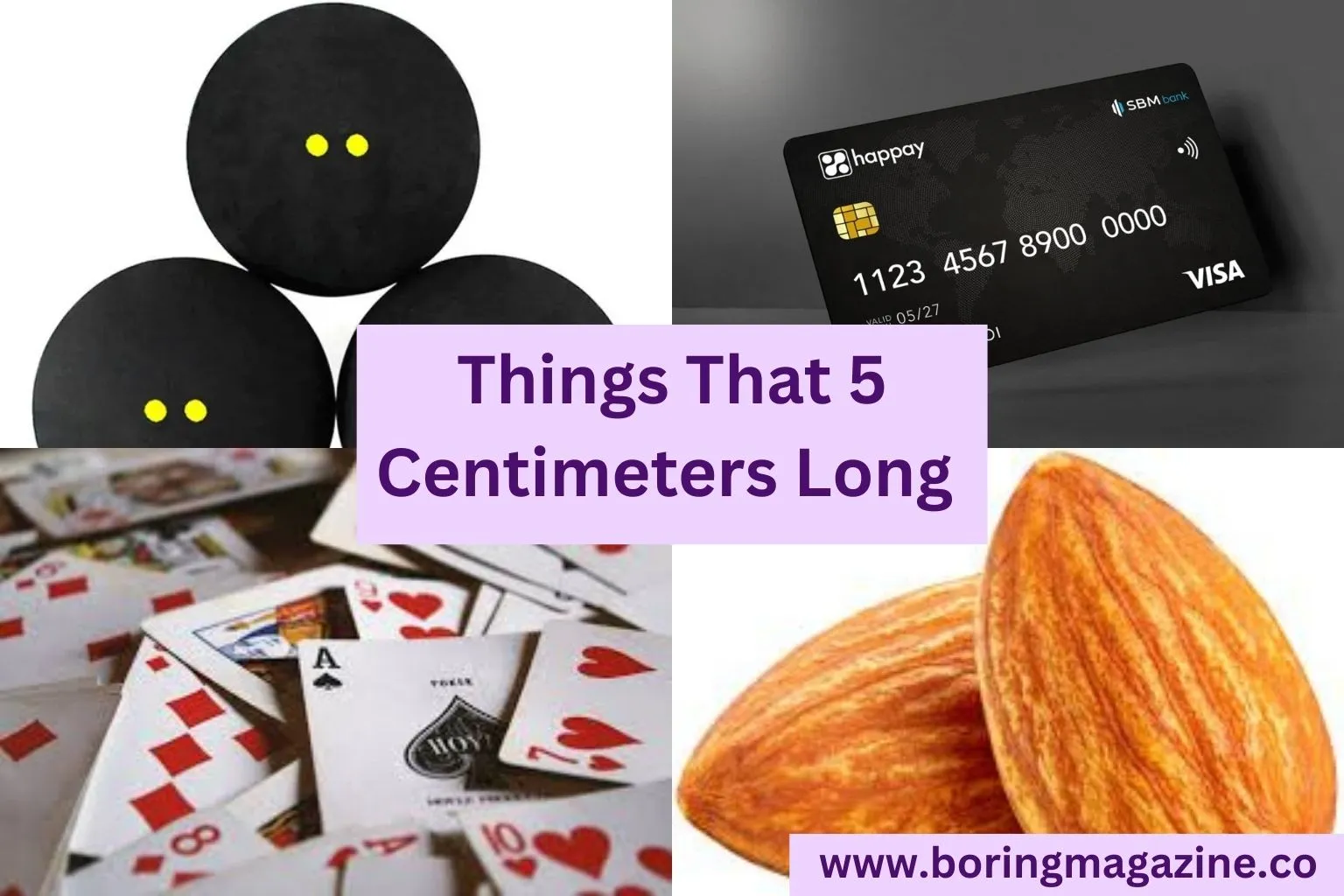 10 Everyday Things That are 5 Inches Long