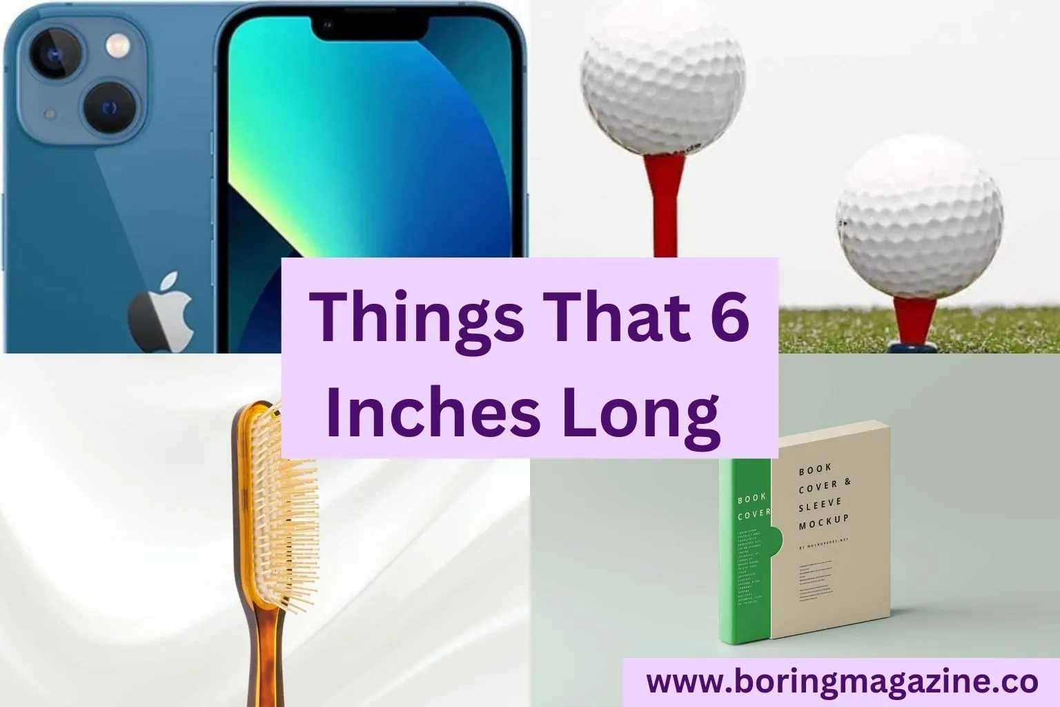 10 Everyday Things That are 6 Inches Long