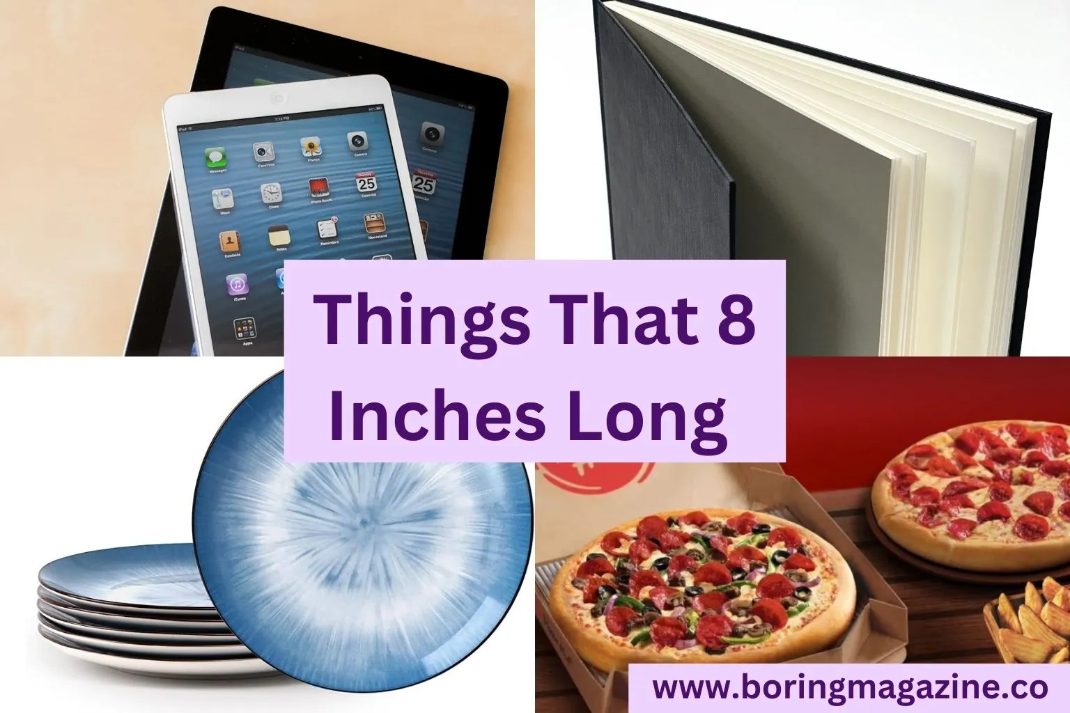 10 Everyday Things That are 8 Inches Long