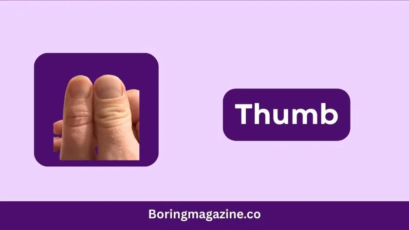 thumb